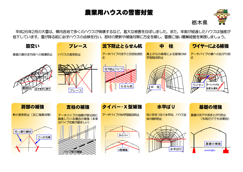 農業用ハウスの雪害対策(栃木県)