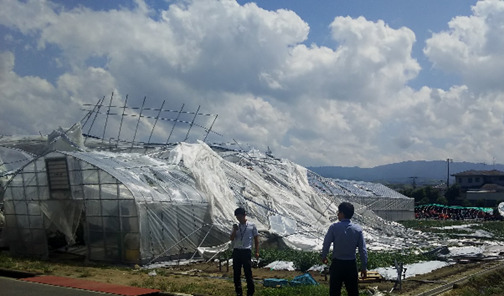 2018年台風21号の強風で被災したビニールハウス