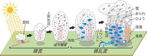 積乱雲のしくみ(防災科学研究所HPより)